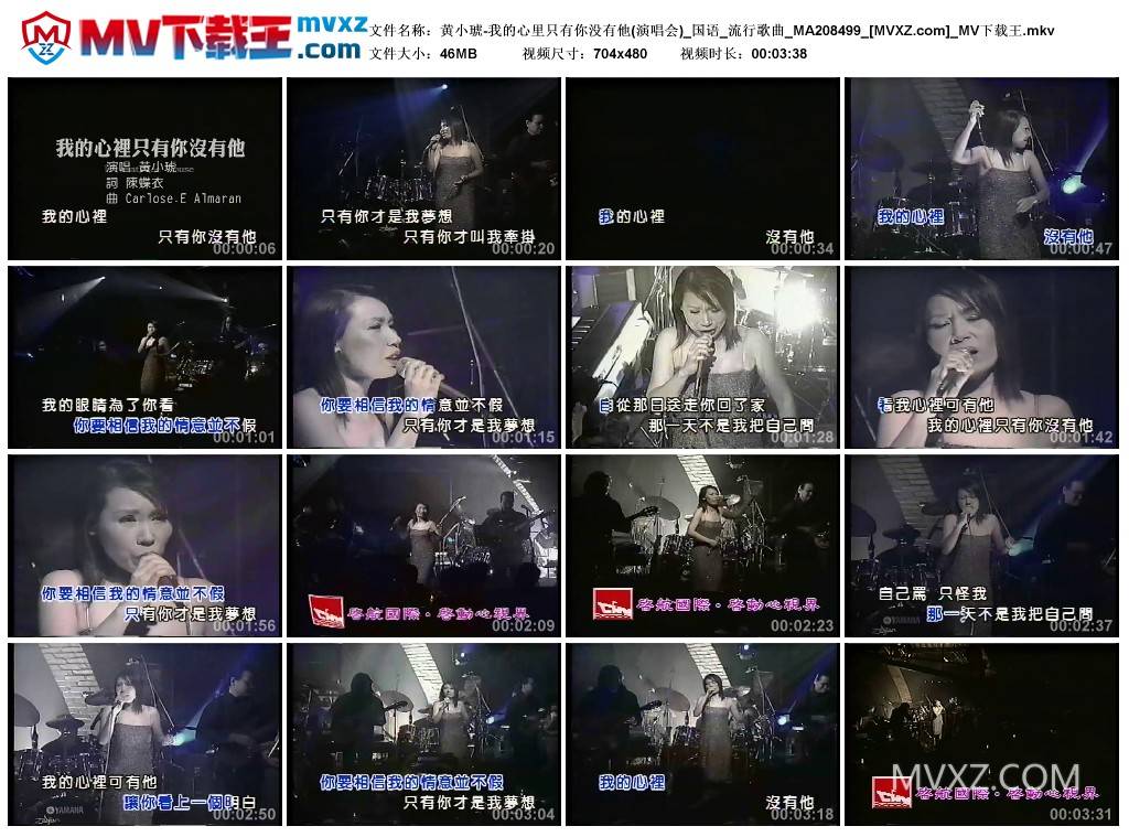 黄小琥-我的心里只有你没有他(演唱会)_国语_流行歌曲_MA208499